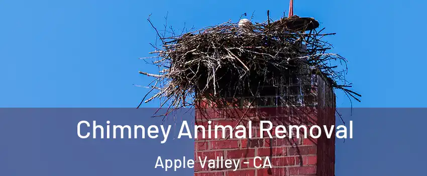 Chimney Animal Removal Apple Valley - CA