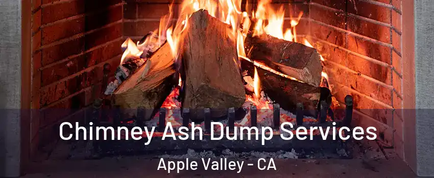 Chimney Ash Dump Services Apple Valley - CA