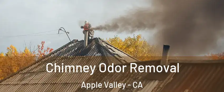  Chimney Odor Removal Apple Valley - CA
