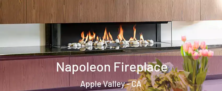  Napoleon Fireplace Apple Valley - CA